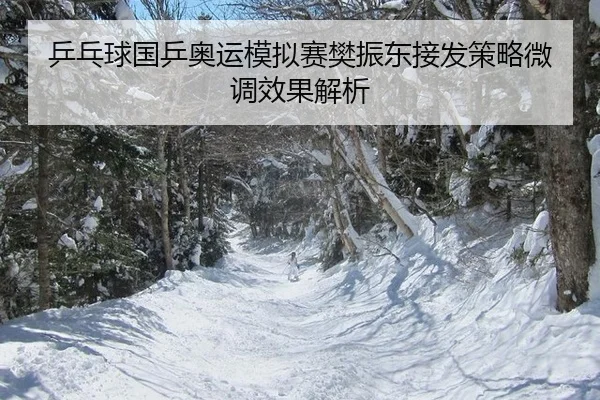 ping-pang-qiu-guo-ping-ao-yun-mo-ni-sai-fan-zhen-dong-jie-fa-ce-lve-wei-diao-xiao-guo-jie-xi-2-375.jpg